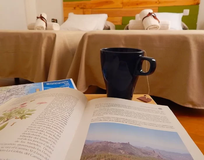 Habitación acogedora con dos camas, toallas enrolladas y una taza de té sobre una mesa. En primer plano, un libro abierto que muestra ilustraciones de plantas y un mapa de Gran Canaria. Ideal para momentos de relajación y lectura.